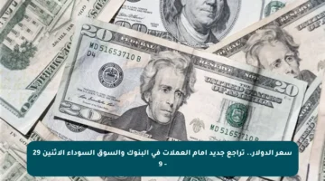 سعر الدولار.. تراجع جديد أمام العملات في البنوك والسوق السوداء الاثنين 29 – 9